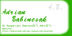 adrian babincsak business card